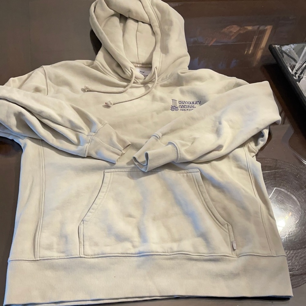 Oversized hoodie from aritzia